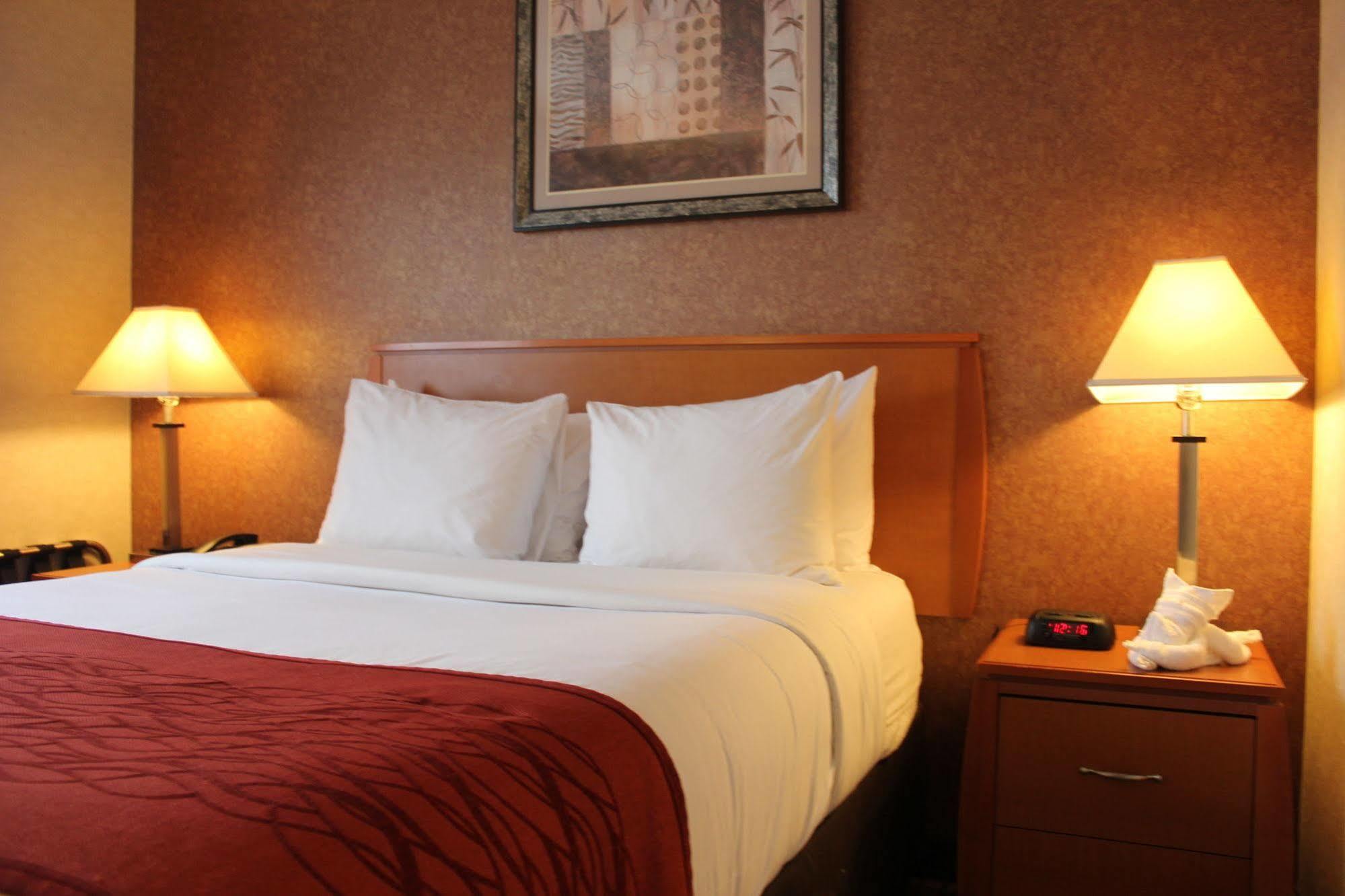 Bellerose Inn Ngoại thất bức ảnh